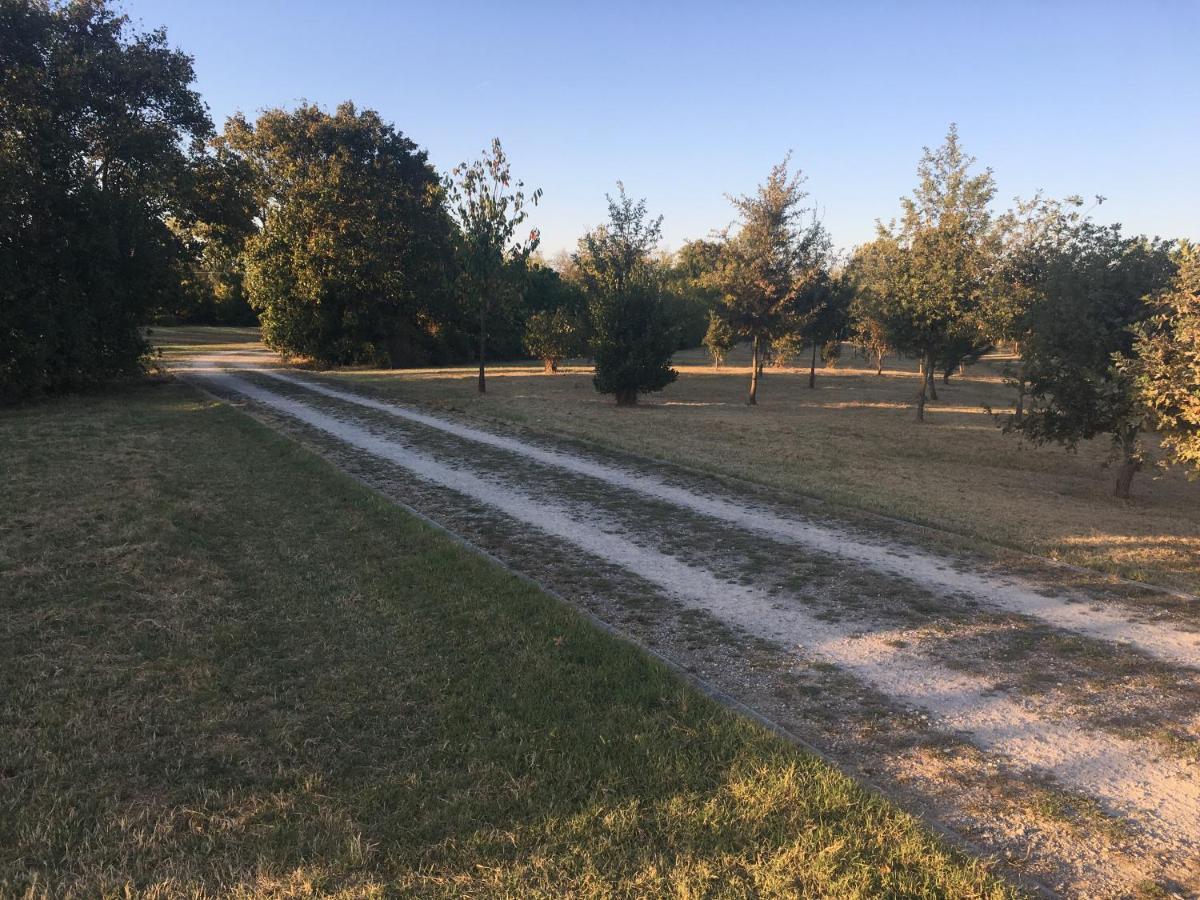 Visaya Panzió Ponsacco Kültér fotó